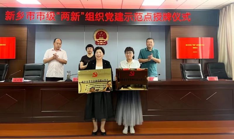 市级党建示范点颁奖照片